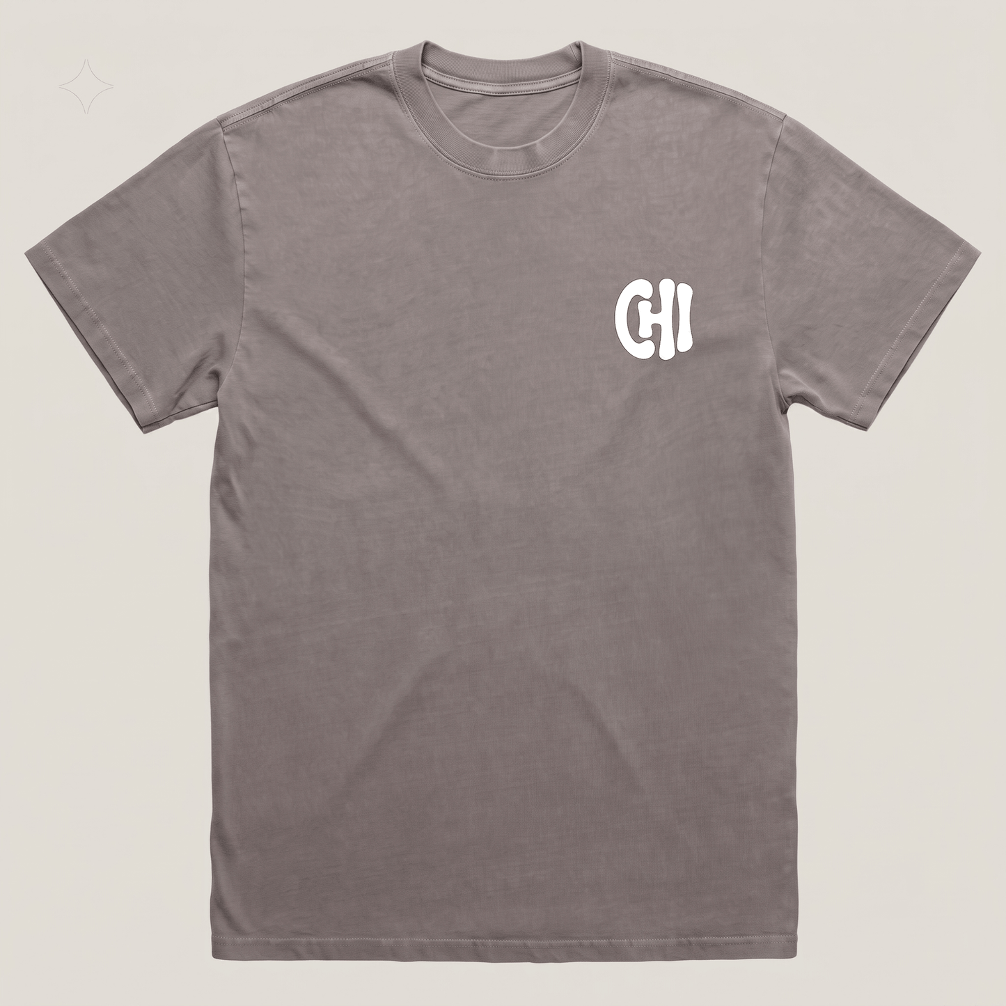 CHI Emblem Oversized Heavy Tee