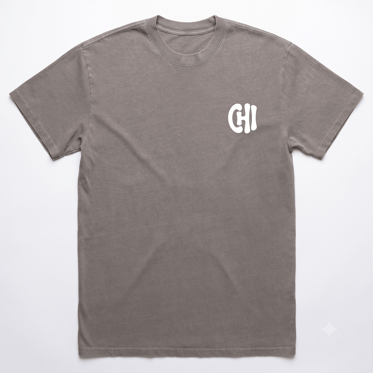 CHI Emblem Oversized Heavy Tee